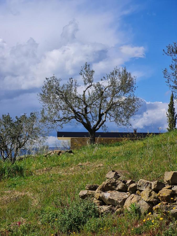 Poggio Cagnano Bed and Breakfast Manciano Exteriör bild